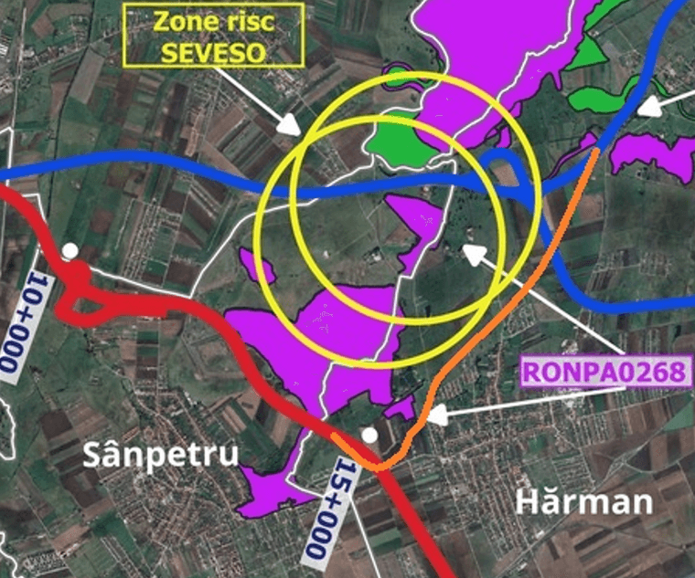 varianta 6 detaliu.png