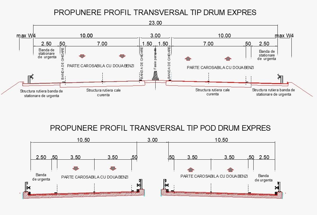 propuneri profil transversal DX CNAIR + Horatiu Cosma 2026.jpg